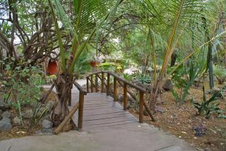 Kia Lodge - Arusha - 3