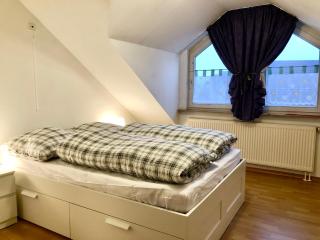 Lotus Apartment - Fichtenberg - 2