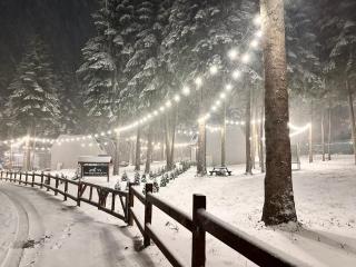 Boro Green Holiday Village - 9