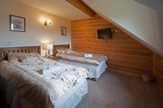 Beech Tree Eco Lodge - 6