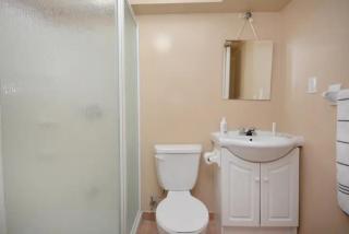 Riz Khan Peaceful Mississauga Home - Mississauga - 6