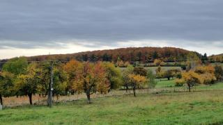 Chata Holý Vrch - oáza kľudu a pokoja - Krupina - 7