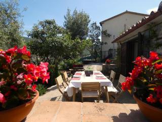 SCAPPO IN UMBRIA, la casa di Giuliana - Lugnano in Teverina - 7