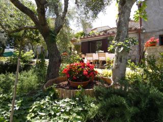 SCAPPO IN UMBRIA, la casa di Giuliana - Lugnano in Teverina - 4