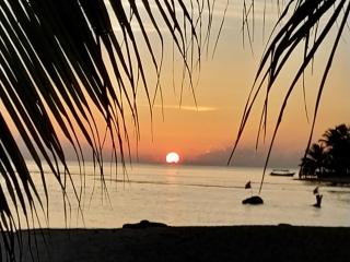 Splendid San Blas - All Inclusive - Playón Chico - 6