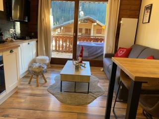 Moderne appart. 4 pers. avec terrasse plein sud, proche télécabine du Linga - équipements inclus - FR-1-198-222 - Châtel - 1