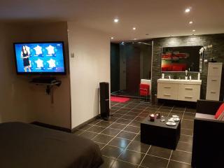Studio cosy - Champ-sur-Drac - 4