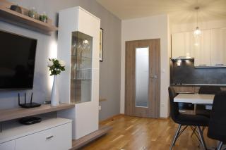 Apartmán Bára - Černý Dŭl - 8