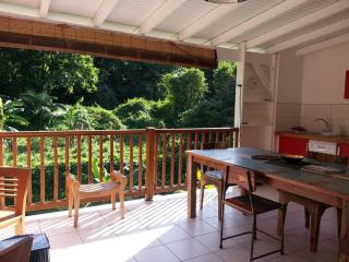 MANGUE ROUGE habitation CALISSA - Bouillante - 4