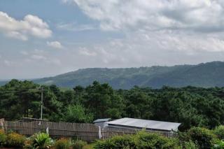 Roseville (Entire Apartment) - Shillong - 3