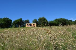 The Flying Scotsman Shepherd's Hut with Hot Tub - 8