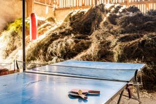 Burgerhof - San Genesio Atesino - 2