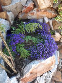 Whispering Waves - 7