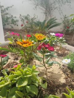 White House Hurghada - 8