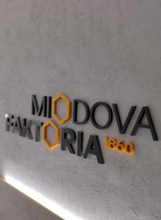 Starówka apartament Miodova 12 - Toruń - 5
