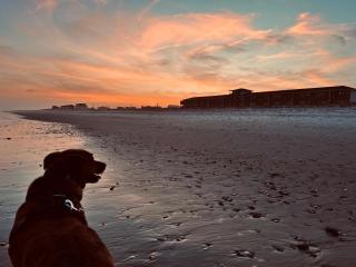Sea Vista Motel - Topsail Beach - 0