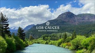 Los Cauces - Reserva Cannábica - Epuyén - 0