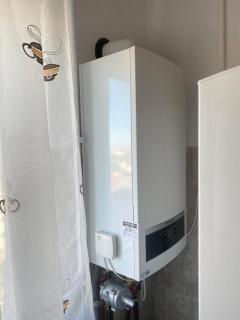 Gheorghe Lazar Nest - Timişoara - 1
