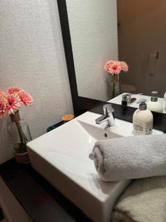 Secrète loft - Aucamville - 4