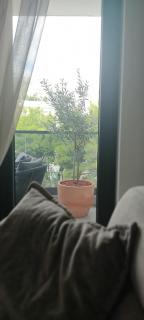 Avisi Living - Trebinje - 6