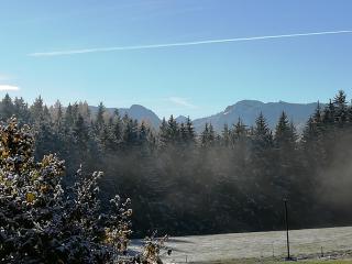 Ferienwohnung zum Gimpei - Siegsdorf - 1