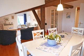 Schleimuschel - Kappeln - 3