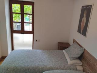 Apartamento centro Benasque - Benasque - 4
