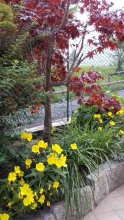 Residenza Caola Sant'Antonio Mavignola - 1