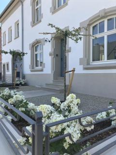 Gästehaus Cantzheim - Kanzem - 2