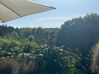 The Driving Creek Cottage - Coromandel - 3