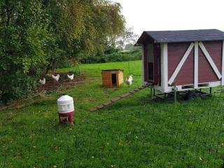 NEU! Landhaus Ostfriesenruhe - Berumbur - 3