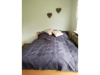 NEU! FeWo Harzfire mit Kamin - Bad Harzburg - 3