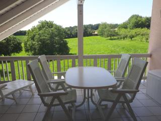 NEU Ferienwohnung Odenwald - Rimhorn - 4