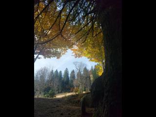 NEU! Ferienwohnung Talblick - 6
