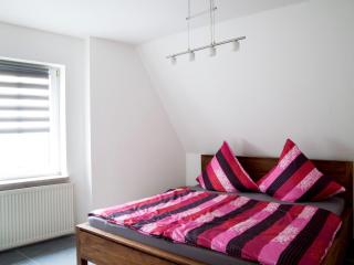 NEU! Ferienwohnung Muecheln Geiseltal - Mücheln - 6