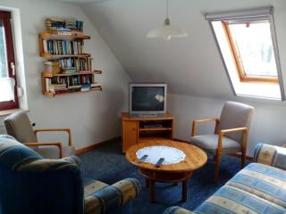 NEU! Nordsee-Ferienhaus Lukas - Dornum - 1