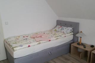 NEU! Ferienwohnung Cottbus nähe Spreewald - Cottbus - 3