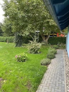 NEU Ferienhaus Dat Wildberghus - Wildberg - 2