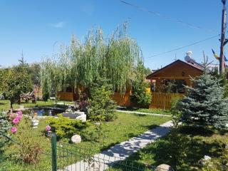 Pensiunea Gaby - Cluj-Napoca - 3