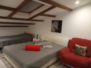 Apartman Lea - Brodarica - 6