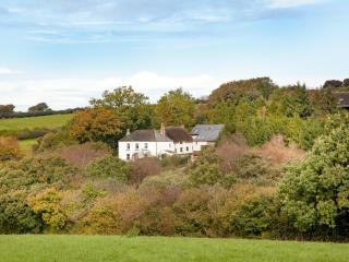 Uk45543-The Threshing Barn - Sticklepath - 8