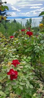 Hospedaje Manantiales - 3