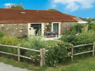 Gîte rénové avec piscine, spa, et accès handicapés au cœur du Marais Breton - FR-1-426-280 - Soullans - 0