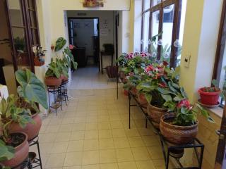 Hospedaje Ajayu Sucre - 2