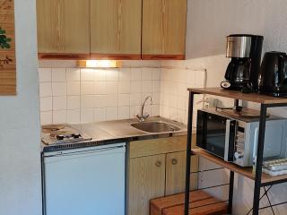 Studio au pied des pistes avec balcon aux Adrets-Prapoutel - FR-1-771-15 - 6