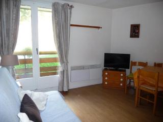 2 pièces aux Adrets, au pied des pistes, animaux admis - FR-1-771-36 - Les Adrets - 0