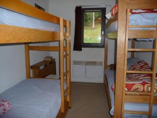 2 pièces aux Adrets, au pied des pistes, animaux admis - FR-1-771-36 - Les Adrets - 8