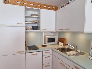 Studio au pied des pistes avec grand balcon et cuisine équipée - FR-1-181-2731 - Aime-la-Plagne - 6