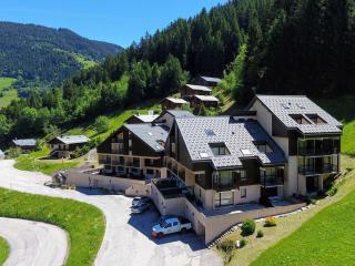 Duplex rénové pour 6 pers avec loggia, proche pistes - FR-1-342-311 - 2