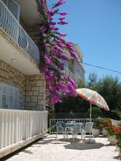 Apartment Ivana - Omiš - 1